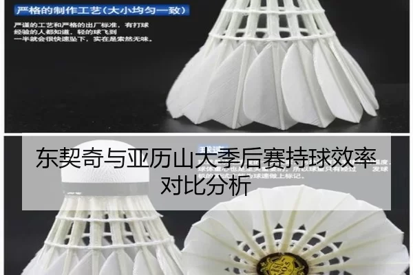 东契奇与亚历山大季后赛持球效率对比分析