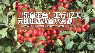 乐鱼网址