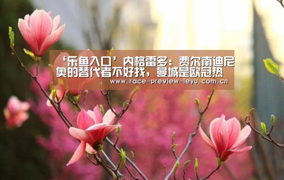‘乐鱼入口’内格雷多:费尔南迪尼奥的替代者不好找,曼城是欧冠热门(图2) 乐鱼平台